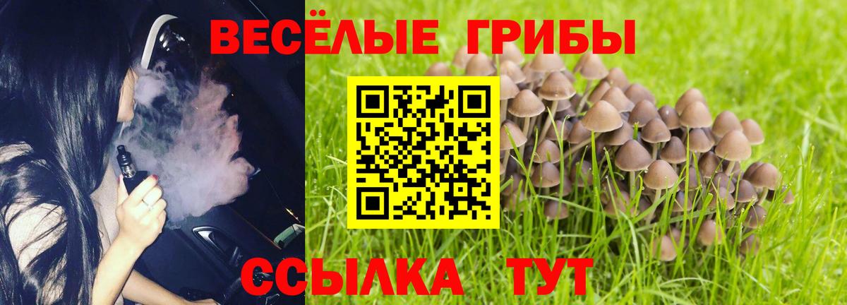 Павловский Посад  даркнет сайт  Вход с VPN  Галлюциногенные грибы прущие грибы  Псилоцибиновые грибы Magic Shrooms 